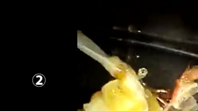 【价值2000万的手术机器人为你剥小龙虾。10分钟一只可还原完整虾形】2日,安徽医科大学第